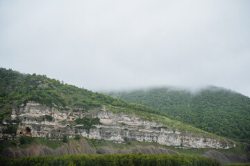 In a tranquil and magical setting of nature, a mountain covered with green trees is enveloped in...