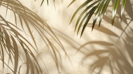 Blurred shadow from palm leaves  beautiful summer spring background for product presentation --ar 16:9 Job ID: 4484b763-359c-46b1-98b5-0ceaaf6117b7