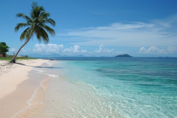 Fototapeta premium Single palm tree beach ocean