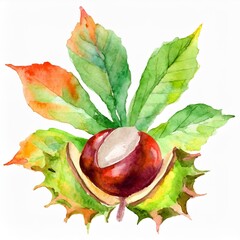 Kasztanowiec kasztan i liść ilustracja