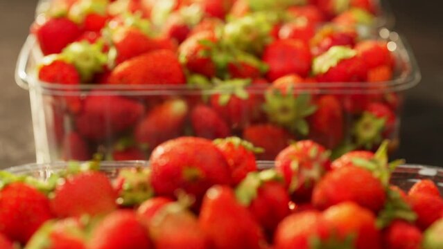 From several prepackaged boxes with strawberries, the customer takes one. A supermarket employee puts a new box with berries in the empty place. High quality 4k footage
