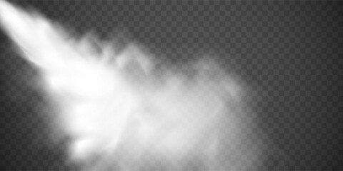 Fog or smoke isolated transparent special effect. White vector cloudiness, mist or smog background. Vector illustration	