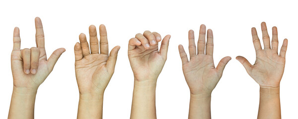 Set of hand gestures Isolated on transparent background, PNG File.