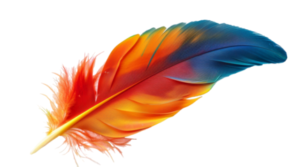 A single, colorful bird feather isolated against a white background