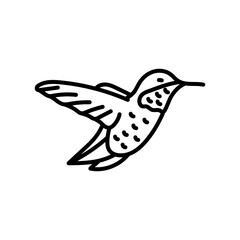 Hummingbird Outline Icon, Vector illustration