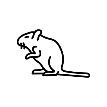 Rat Outline Icon, Vector illustration