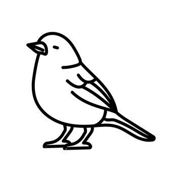 recommend clip art: Cockatiel Outline Icon, Vector illustration