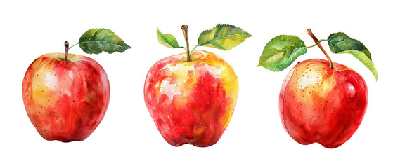 Three apples with green leaves on top