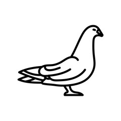 Dove Outline Icon, Vector illustration
