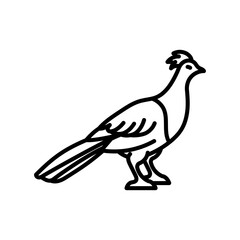 Pheasant Outline Icon, Vector illustration