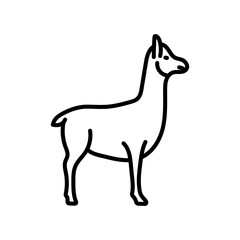 Alpaca Outline Icon, Vector illustration