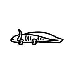 Axolotl Outline Icon, Vector illustration