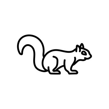 recommend clip art: Squirrel Outline Icon, Vector illustration