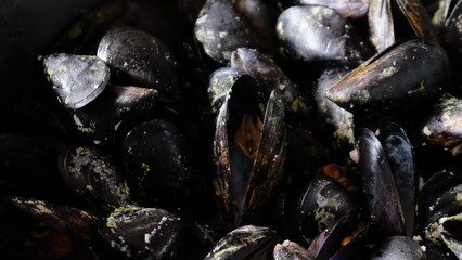 Mussels