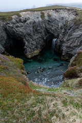 Foggy Newfoundland Landscape with ocean and mountains