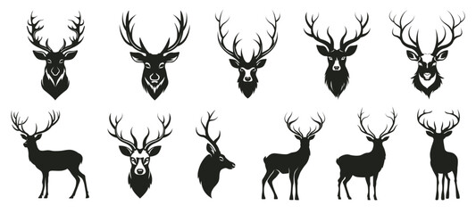 Set of deer heads with horns,