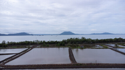 Aerial view of a large rice field area with sea and mountains in the background