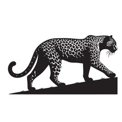 Full length of amur leopard walking on field,Wilpattu National Park,Sri Lanka