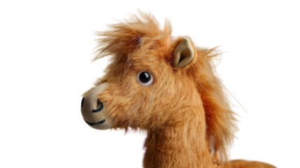 Brown plush horse head isolated on a white background