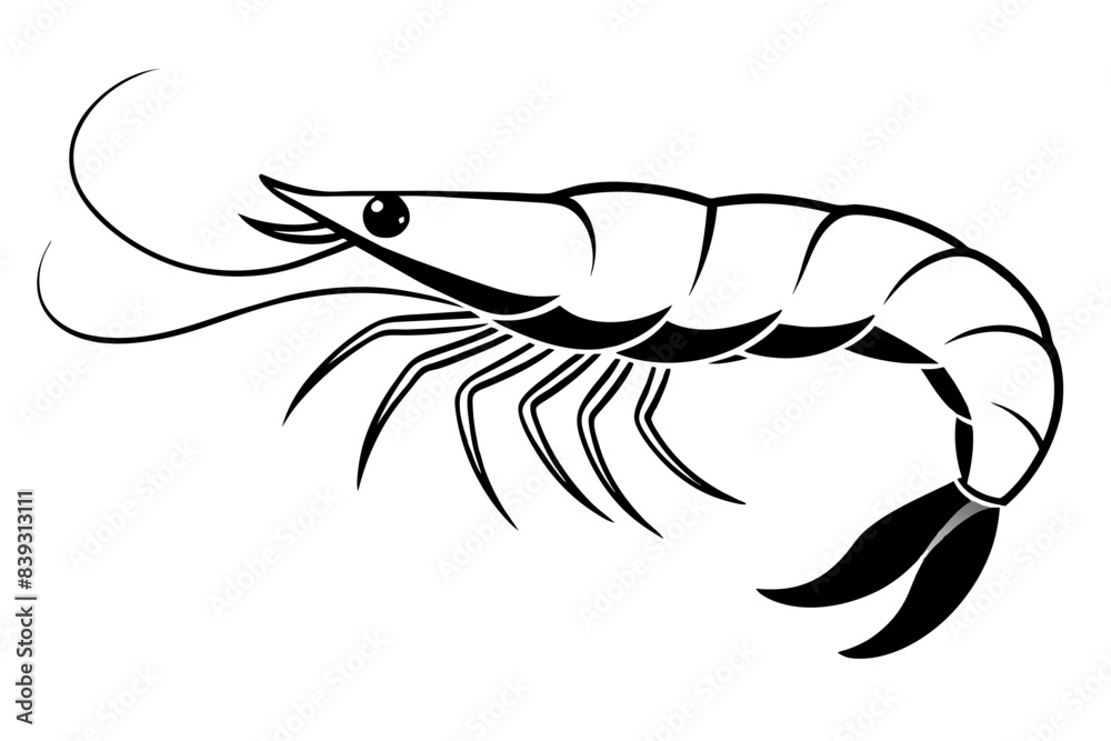 Wall mural shrimp line art silhouette vector illustration