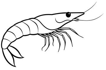 shrimp line art silhouette vector illustration