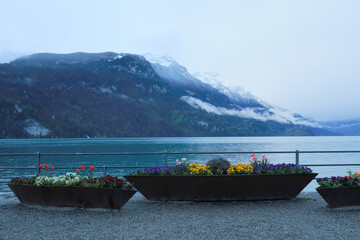 Lake in Brienz at the mountains, in Switzerland