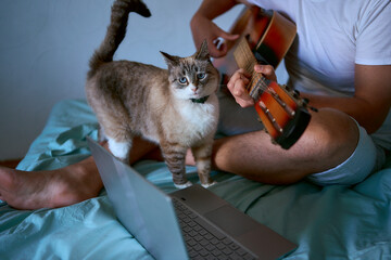 a  young man is learning to play the guitar at home using online lessons on a laptop, the cat...
