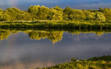 Wiejski krajobraz ze stawem i bujną zielenią w tle