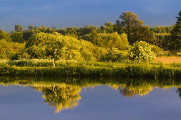 Wiejski krajobraz ze stawem i bujną zielenią w tle © kubikactive