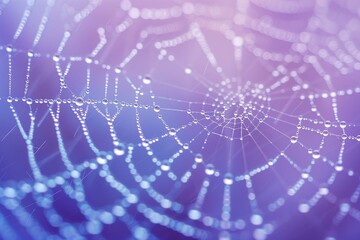 Naklejka premium Ultra HD Glistening Raindrops on a Spider Web Suitable for Application, Desktop, Banner Background, Print Backdrop, and Other Print and Digital Work Related