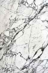 High-resolution white marble texture with striking black veins, suitable for backgrounds, designs, and architectural projects. Natural stone surface detail.
