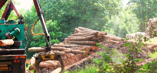 Holzstämme entrinden (schälen) - Debarking (peeling) logs