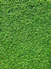 Fototapeta premium Artificial grass background texture. Green grass wall texture for backdrop design and eco wall and die-cut for artwork. Green lawn texture background. Leaf panel. Green lawn for background