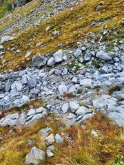 Summer, a natural park, walking in the fresh air, along the canyon of a mountain river, fascinating places to travel on a sunny day. High in the mountain's river.