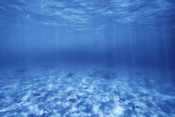 underwater photo blue background panorama ocean surface and bottom of the sea