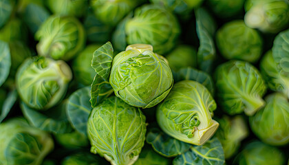 Fototapeta premium fresh city sprouts in the market