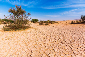 Dry cracked soil, Wadi Araba desert. Jordan landscape