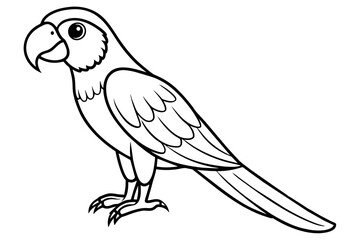 macaw bird line art silhouette vector illustration