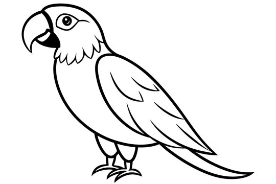 recommend clip art: macaw bird line art silhouette vector illustration