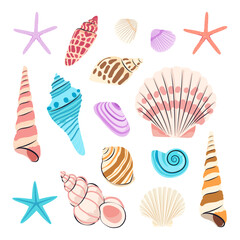 Set of Seashells vector illustration.Variety of seashells isolated on white background.