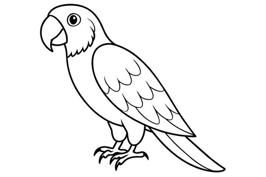 recommend clip art: macaw bird line art silhouette vector illustration