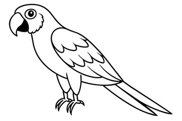 macaw bird line art silhouette vector illustration