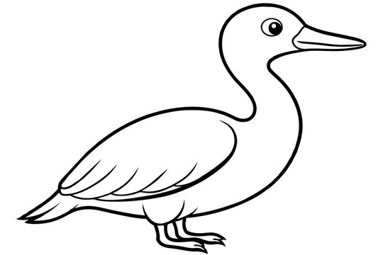 recommend clip art: cormorant bird line art silhouette vector illustration