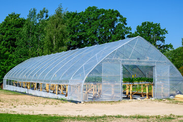 Strawberry growing greenhouse on a sunny day.