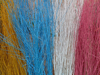 Background of colorful branches painted in beautiful colors. painted dry branch background.