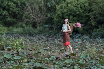 Beautiful women in Lotus Gardens.  Beautiful girl in the lotus field. Asian woman Harvests lotus flowers and she wear Traditional Thai dresses, Thailand