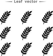 Leaf vector