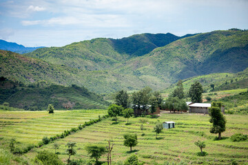 Terraced farms planted with crops in Konso in the Southern part of Ethiopia.
