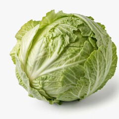 cabbage isolated on white background