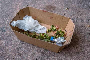 Food leftovers after picnic thrown into the craft paper box left on the street. Strawberries green...